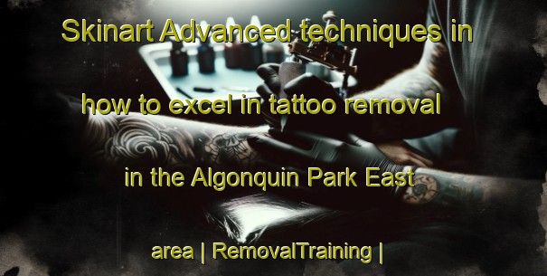 Skinart Advanced techniques in how to excel in tattoo removal in the Algonquin Park East area | RemovalTraining | RemovalClasses | SkinartTraining-Canada